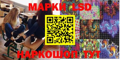 шишки Будённовск