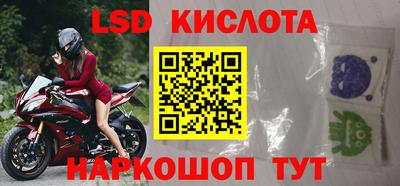 шишки Будённовск