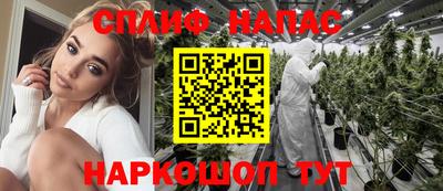 шишки Будённовск
