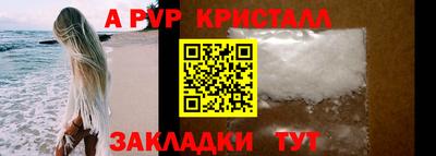 шишки Будённовск