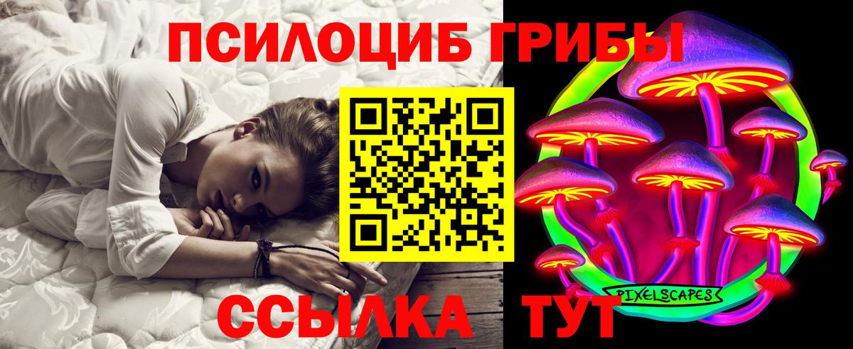 Псилоцибиновые грибы GOLDEN TEACHER  Вход с VPN  Балтийск 