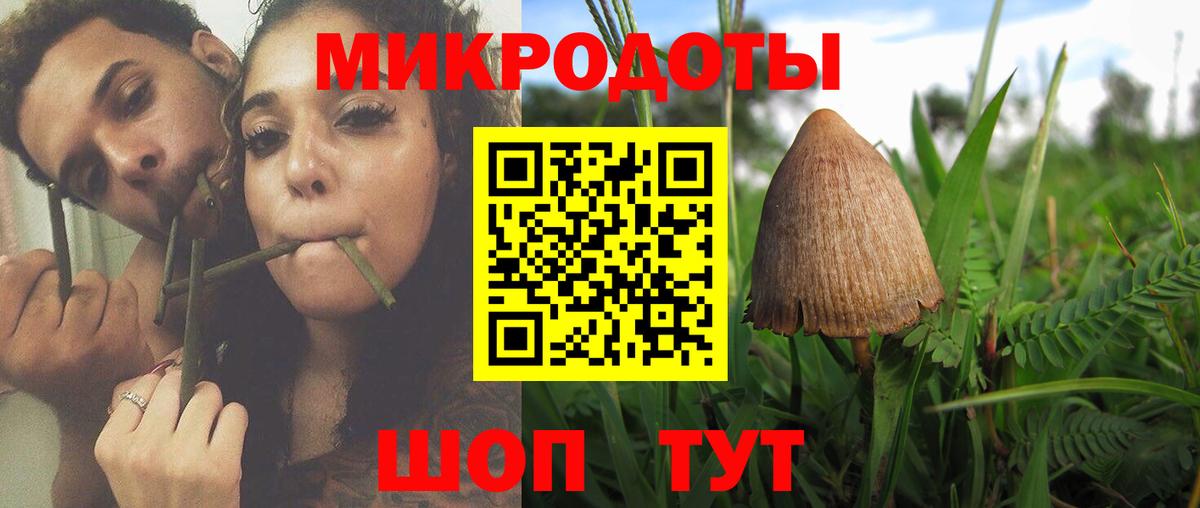 Галлюциногенные грибы MAGIC MUSHROOMS Балтийск